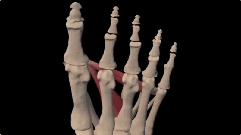 Alt Image